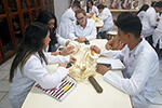 Aula prática de Anatomia